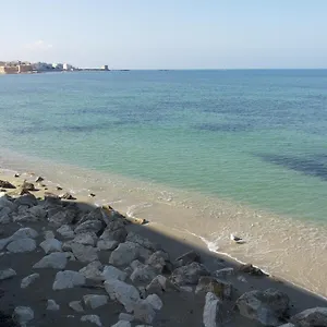 Tulipano Rosso Trapani
